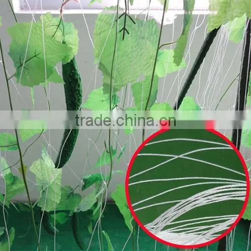 Crop Support Net photo-2