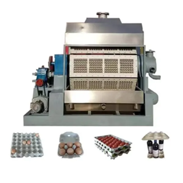 Commercial Paper Pulp Egg Tray Processing Plant11