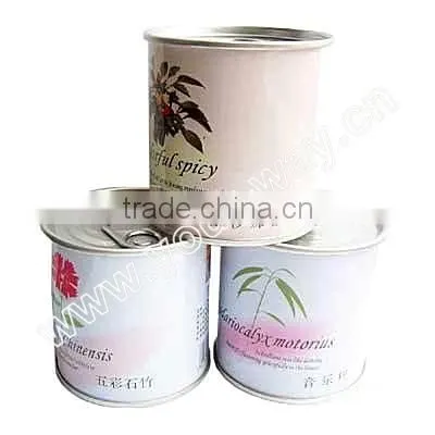 Can Flower,Mini Plant,Tin Flower