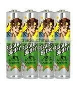 AAA Alkaline Battery