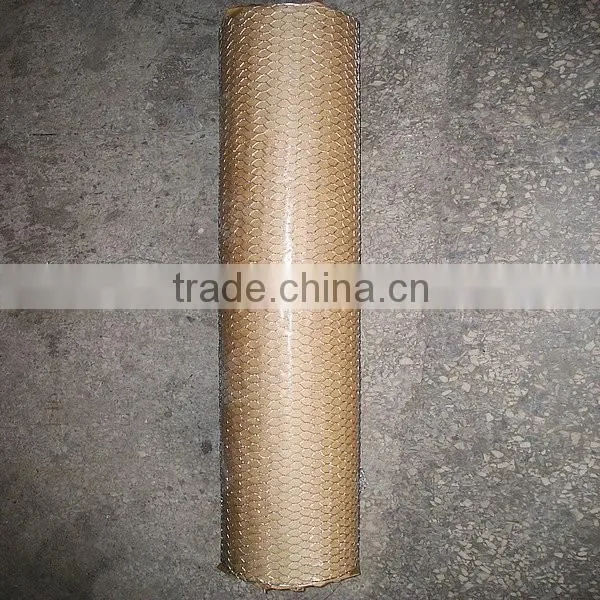 Hot Dipped Galvanzied Hexagonal Wire Mesh photo-5