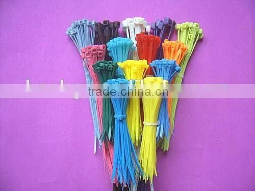Hot Self Locking UV Resistant Nylon 66 Cable Ties Sizes photo-5