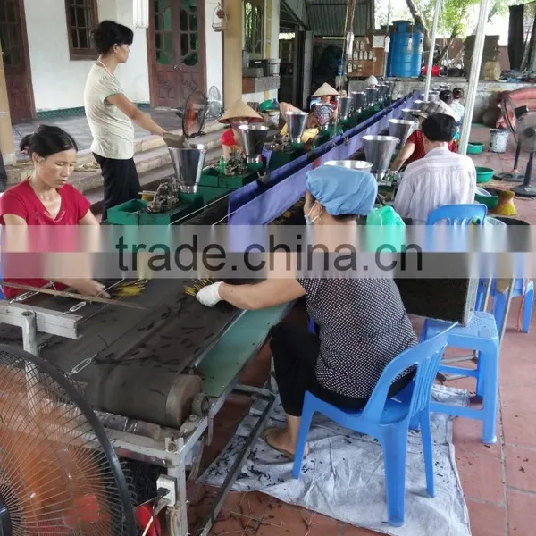 Trusted and Cheap Price Dipping Raw Incense Sticks