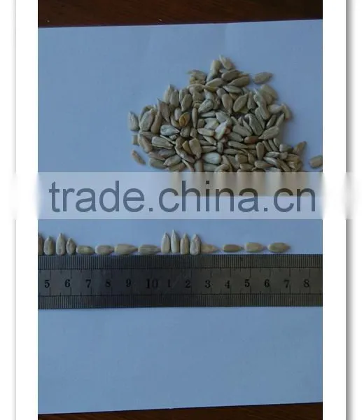 Sunflower Kernels(confectionary and Bakery)