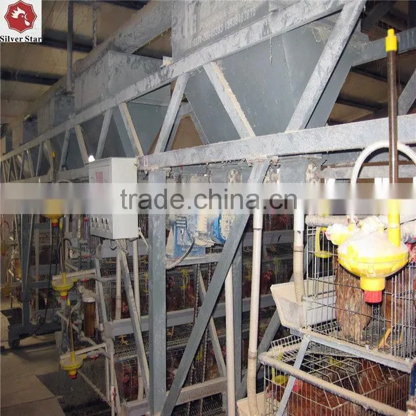 3 Tier Design A Type Ladder Layer Cages for Chickens With Scarpper Manure Removal System photo-3