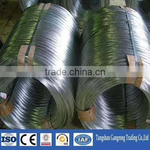 GI Wire, Galvanized Wire China Supplier photo-5