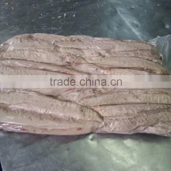 2016 Latest Fresh Bonito Loins High Quality From China photo-3