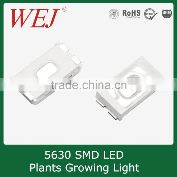 450~455nm Plant Smd Led 5630pkg photo-2
