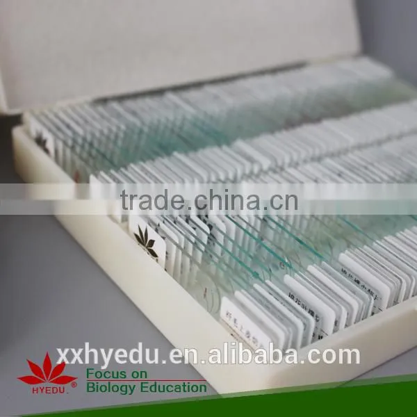 Lab Prepared Slides , Glass Prepared Slides,science Prepared Slides