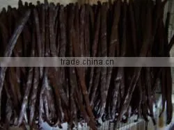 Good Quality Premium Vanilla Beans for Sale