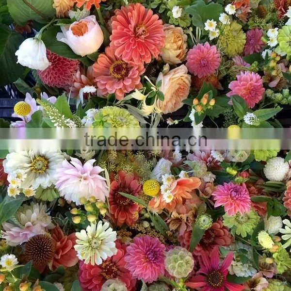 Fresh Cut Flowers Available...