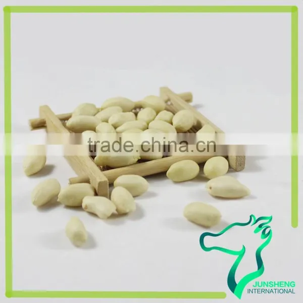 New Crop Blanched Peanut Kernels photo-6