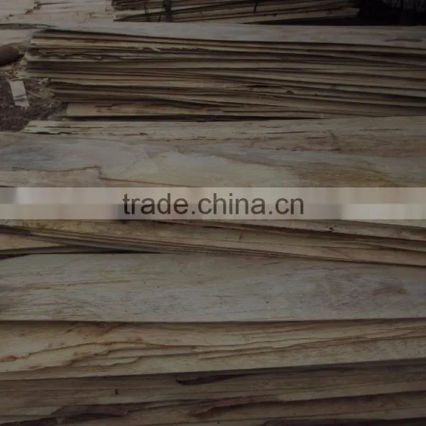 Element Plywood Inner Layer Veneer photo-4