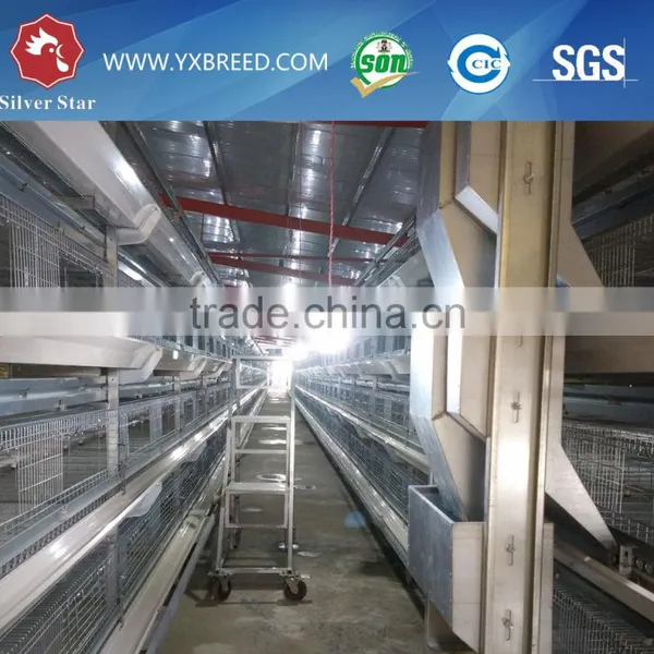 Baby Chicken Hen House Cage for Nigeria Growing Layers photo-5