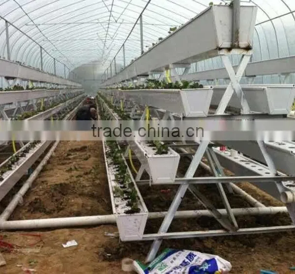 Hydroponic Vertical System for Lettuce photo-3