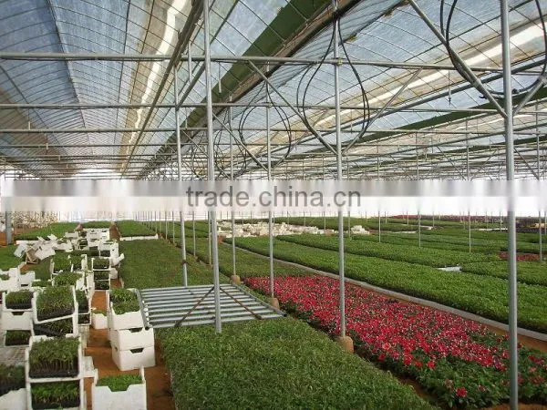 Nursery Systems photo-6