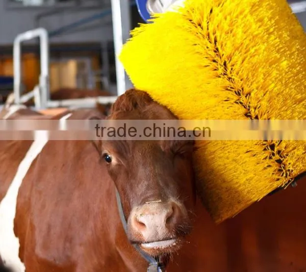 Swinging Cow Brush for Cow Body Cleaning photo-2