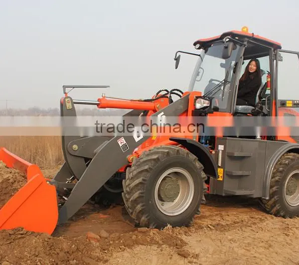 Everun ER25 Wheel Loader Mit Pallet Forks photo-2