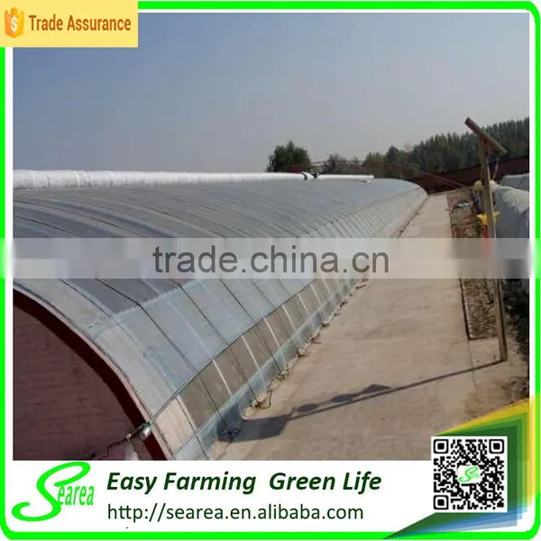 Solar Pvc Greenhouse Covering Material photo-4