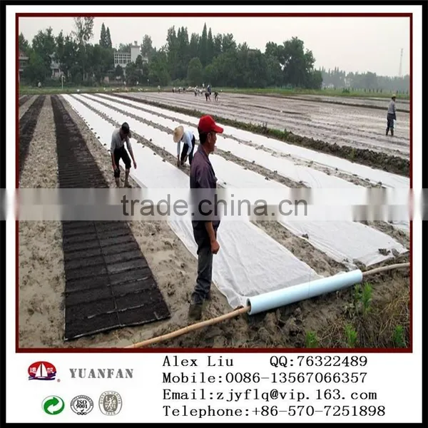 Welded PPSB Non Woven Fabric for Agriculture photo-5
