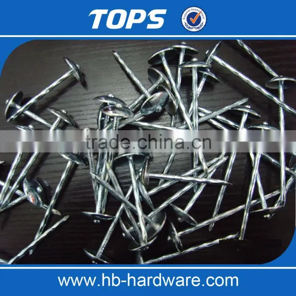 Cheap Aluminum Umbrella Head Roofing Nails photo-6