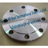 ​Stainless Steel Blind Flanges Iron Pipe Fittings