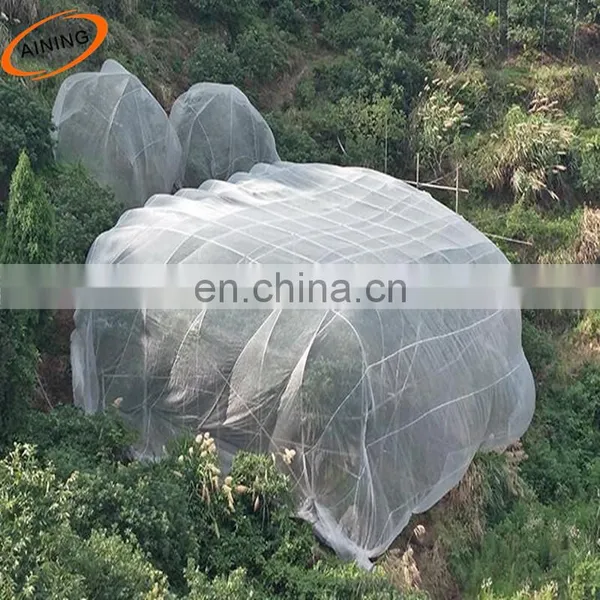 Thailand Shade Net & Insect Net photo-4