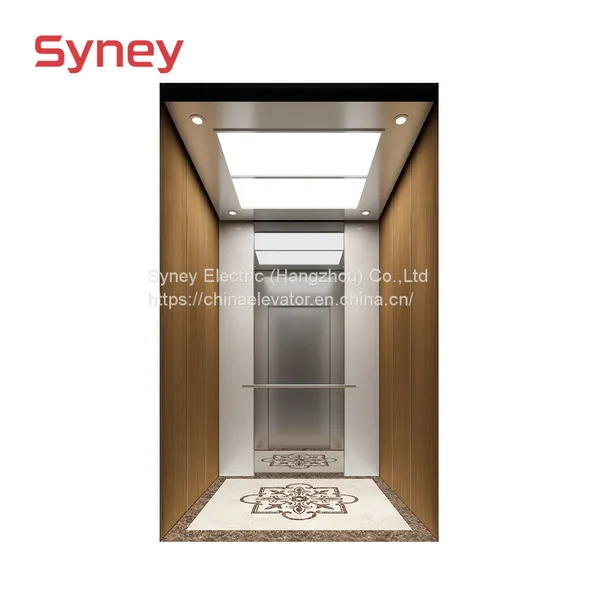 Vvvf Villa Home Elevator Price Panoramic Freight Cargo Car Goods Hospital Observation Residential Sightseeing Glass Passenger Lift photo-5