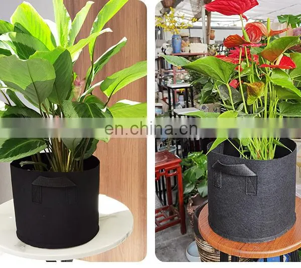 Amazon Free Sample Potato Mushroom Plant Growing Felt Grow Bags photo-2