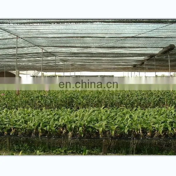 100% Virgin HDPE Agriculture Sun Shade Net Summer Prevent Strong Light Heavy Rain Insect Green House Net