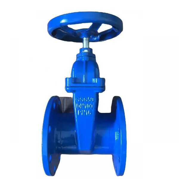 DIN 2'' DN50 PN16 GG25 Cast Iron Ductile Iron GGG40 Flange Gate Valve EPDM Soft Seal Non-Rising Stem Gate Valve photo-1