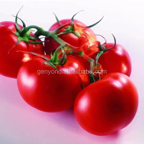 Small Scale 0.5 Ton Tomato Paste Making Machine Manual Semi-Automatic Tomato Sauce Production Line photo-2