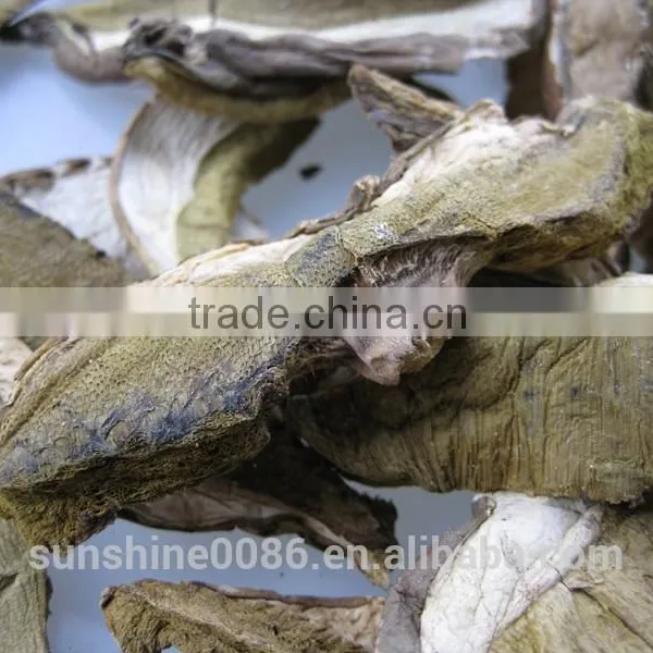 Dried Boletus Mushroom photo-3