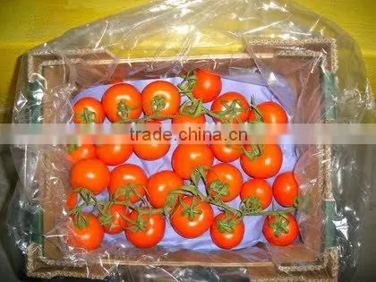 Clear Plastic Flat Bag Carton Liners 25 kg for Vegetables