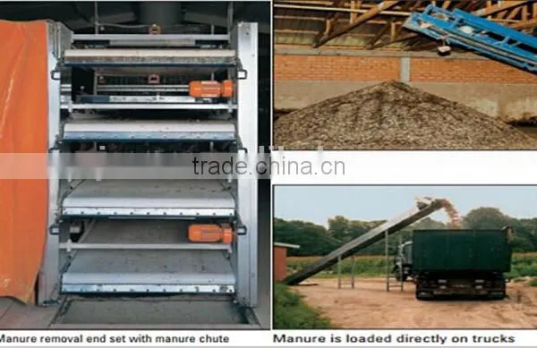 Birdsitter ISO9001 Qualified Aluminum-Zinc Alloy Poultry Farm Chicken Cage Quality Choice photo-3