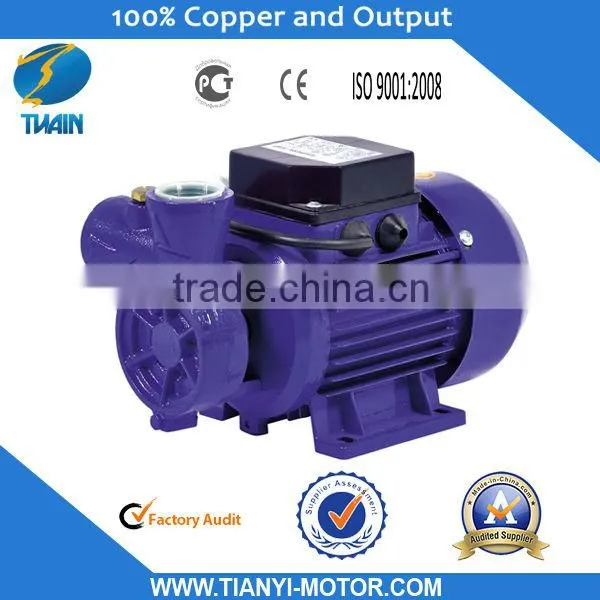 DB-125B 1.3HP Electric Motor Water Pump