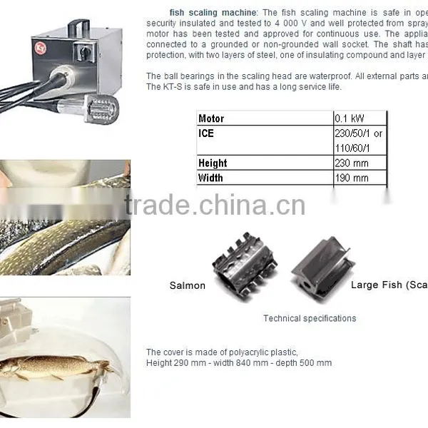 Fish Scaleing Machine KT-S photo-6