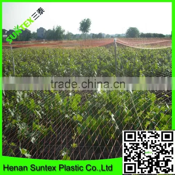 High Quality 100% Virgin HDPE Grape Anti Bird Control Netting for Sale photo-2