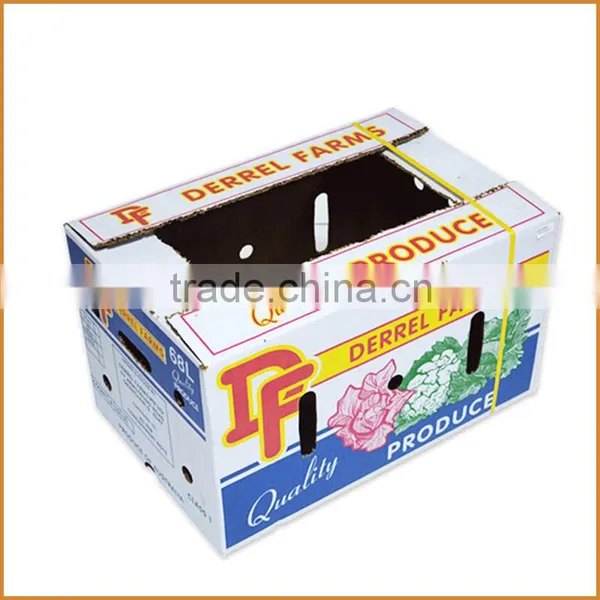 Cardboard Box for Fruit and Vegetable and Vegetable Packaging Box photo-6