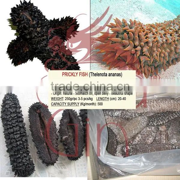Dry Sea Cucumber Vietnam, Prickly Fish, Thelenota Ananas