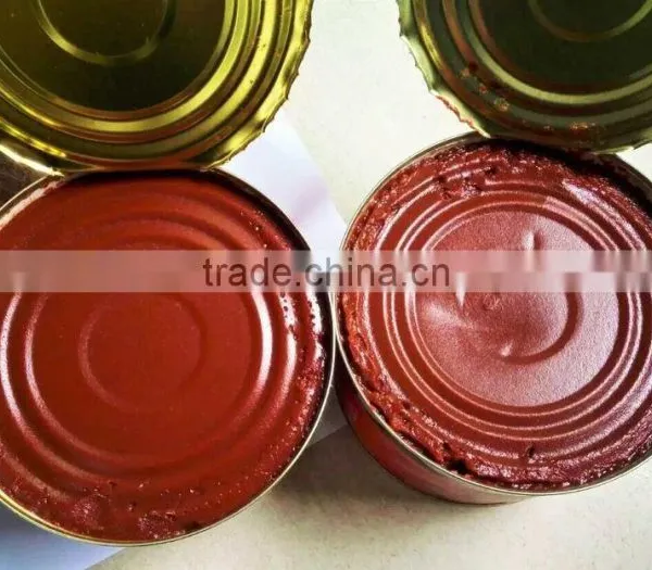 Double Concentrate Canned Tomato Paste Factory Size 70g~3000g. photo-5