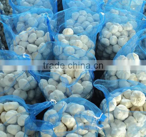 2016 Pure White Garlic 3P/4P/5P/ in 10kg Carton photo-4