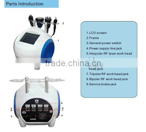 Ultrasonic Cavitation Slimming Machine 1MHz Keyword Beauty Slimming Machine 5 In 1 Cavitation Machine photo-3