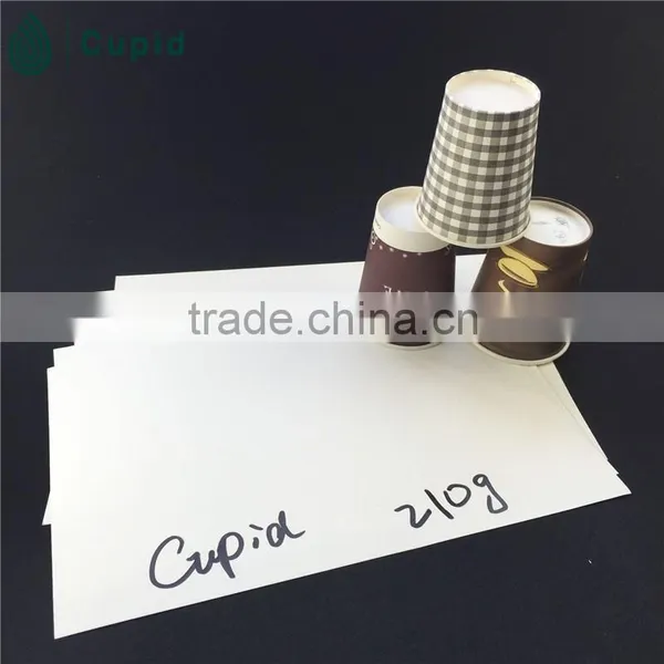 Hangzhou Tuoler pe Coated Paper Cup Blank photo-4