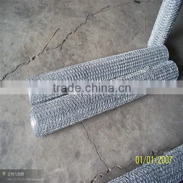Best Quality Chicken Coop Galvanized Wire Mesh 1/2-4 Inch photo-6