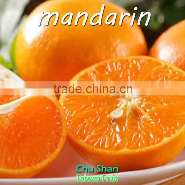 Mandarin Orange Citrus Fruit With Sweet Taste photo-3