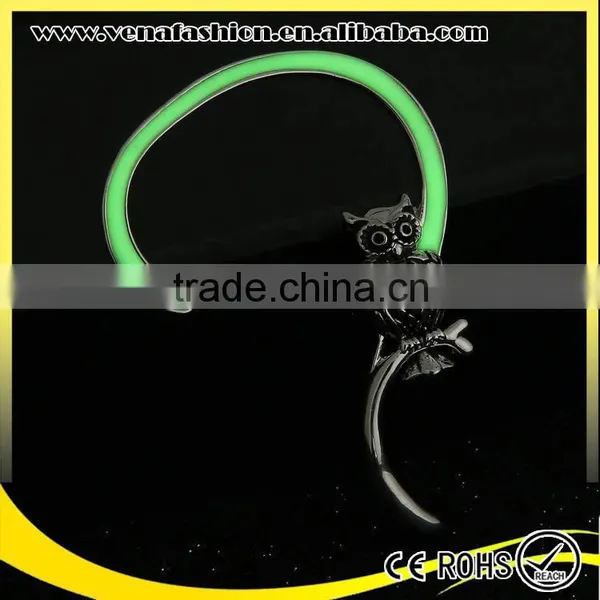 Glow in the Night Owl j Old Fashion Animal Shaped Earrings photo-6