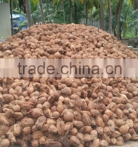 Husked and Semi Husked Coconut Exporter From India photo-5
