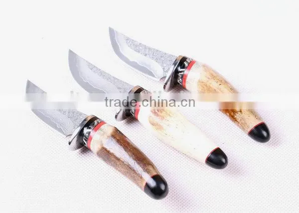 OEM Wild Antlers Deer Horn Damascus Small Collection Knife photo-6