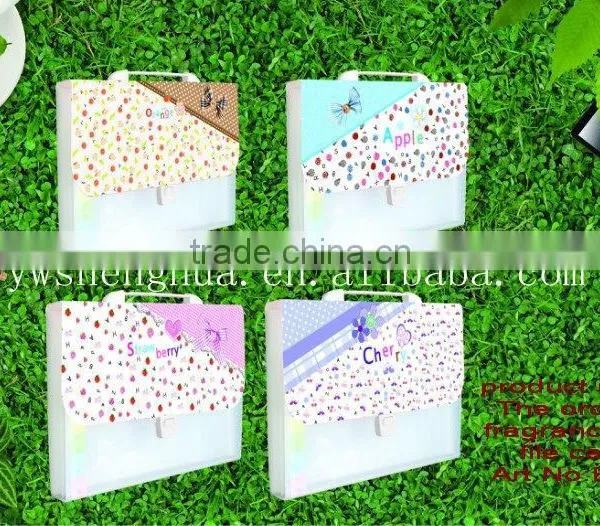 pp File Case / a 4 pp File Folder /plastic Document Bag